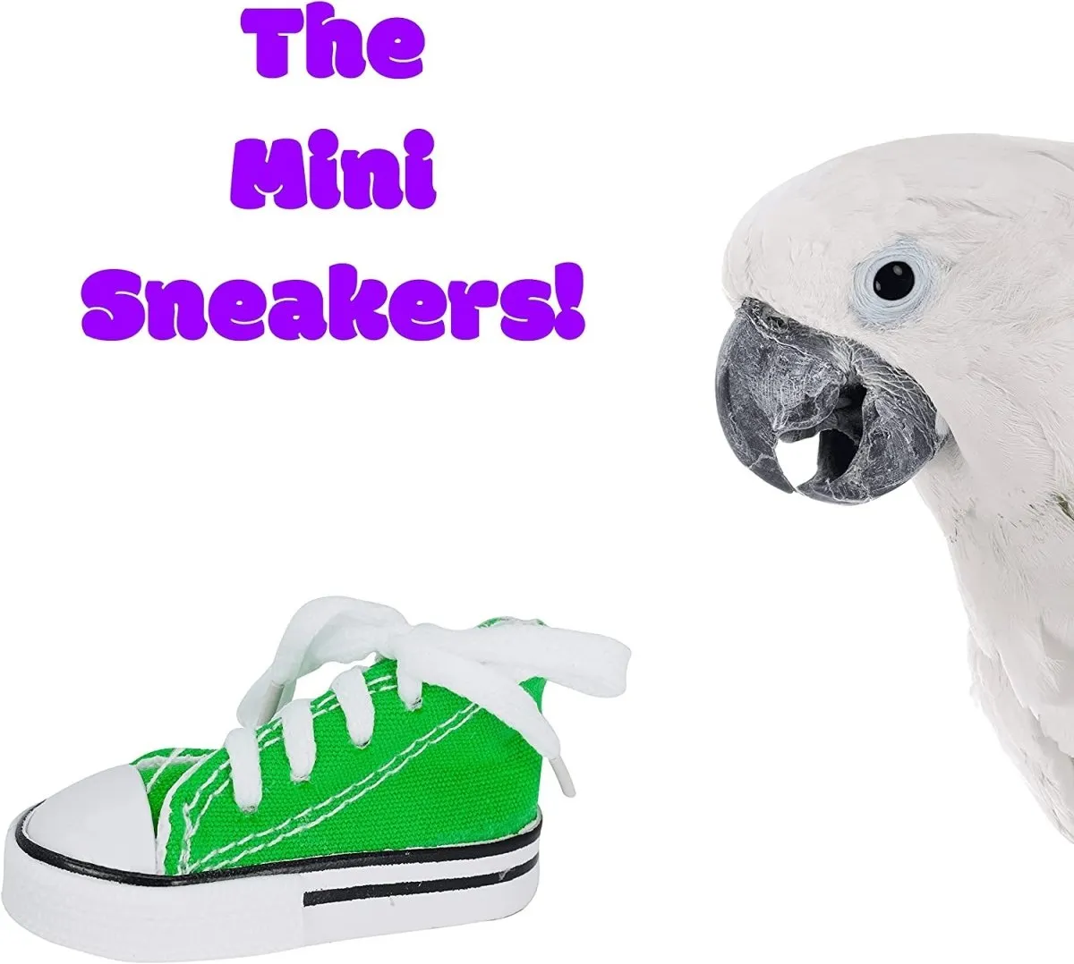 4 Mini Sneaker Bird Toy Parrot Craft Cage Toys Cages Small Dog,Cat Pet Cockatiel,African Grey,Cockatoo