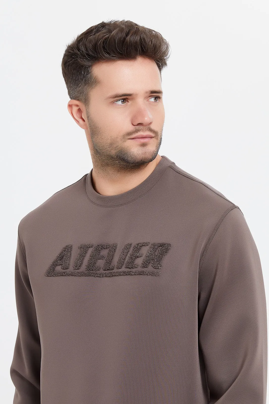 Men Beige Sweatshirt With Flock Applique